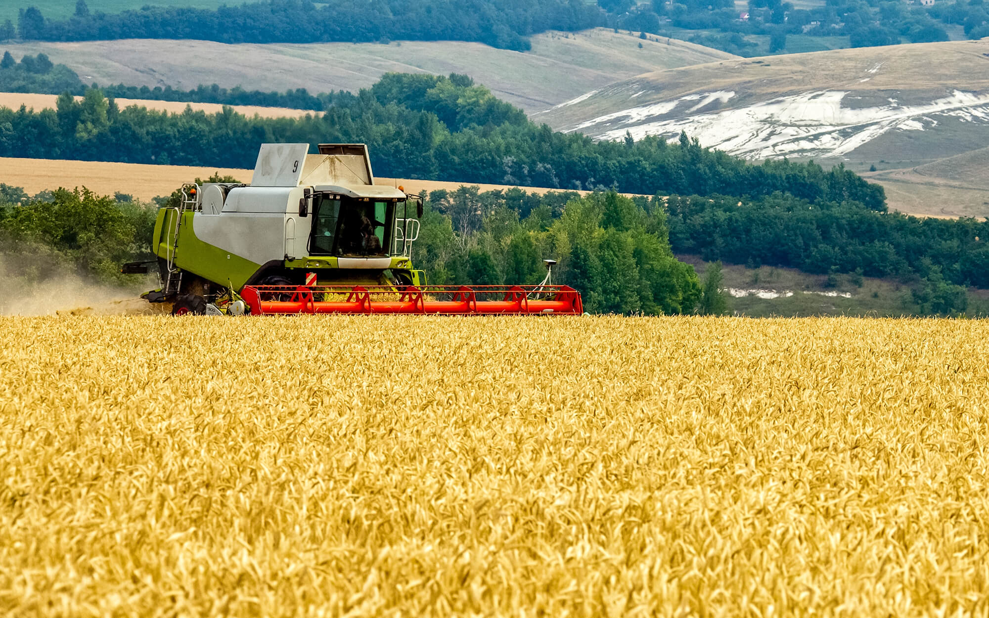 Agriculture Field Image