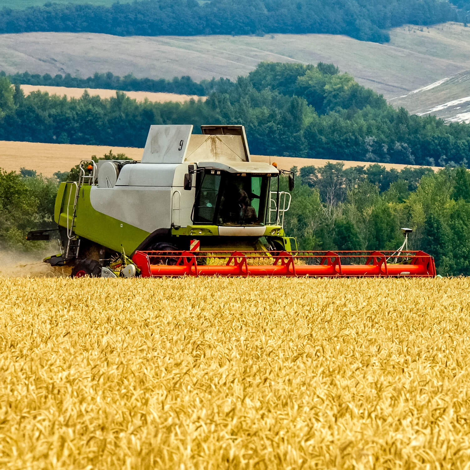 Agriculture Field Square