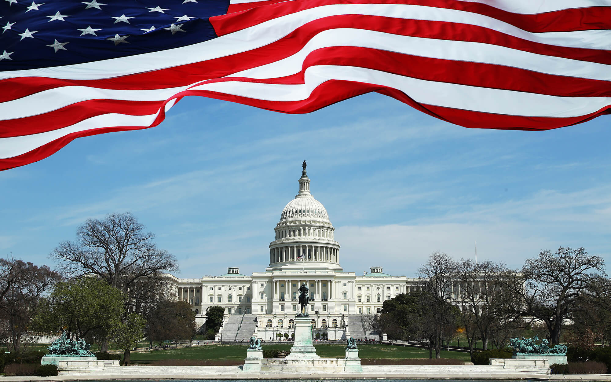 Capital Building Flag